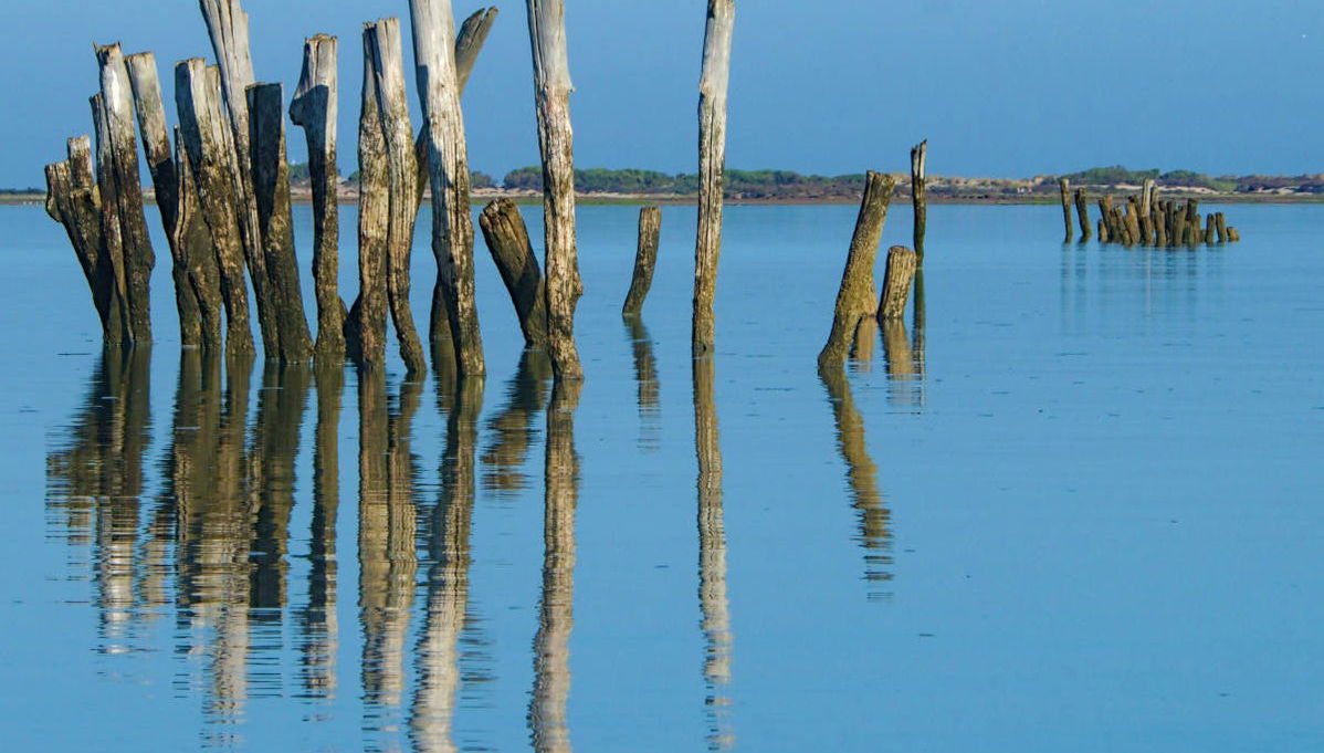 Tour en kayak por las marismas de Sancti Petri - Foto 1