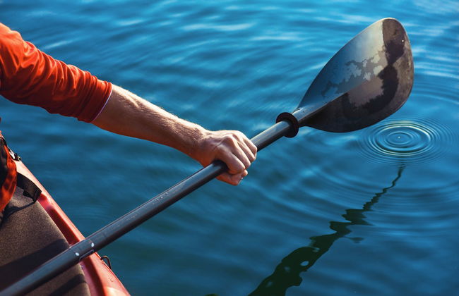 Tour en kayak por las marismas de Sancti Petri - Foto 6