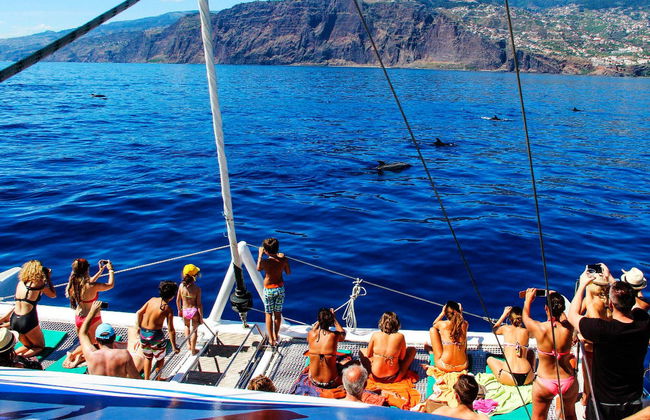 South Madeira Boat Ride - Foto 1