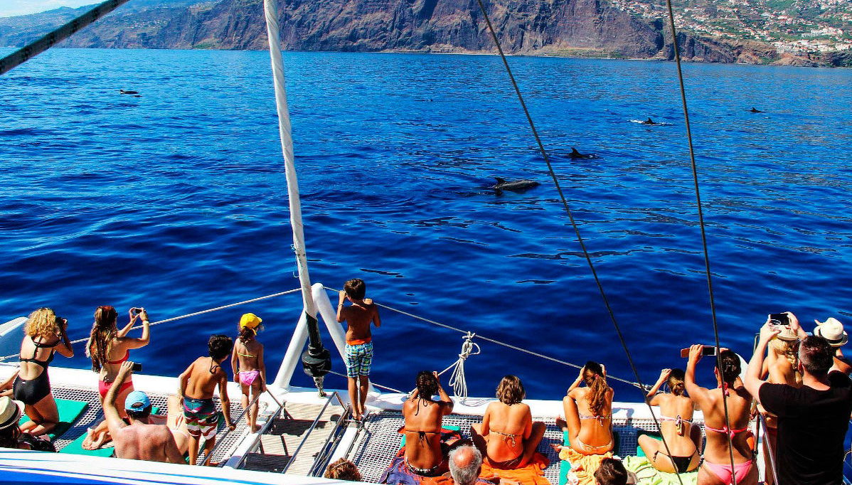 Balade en goélette au sud de Madère - Photo 1