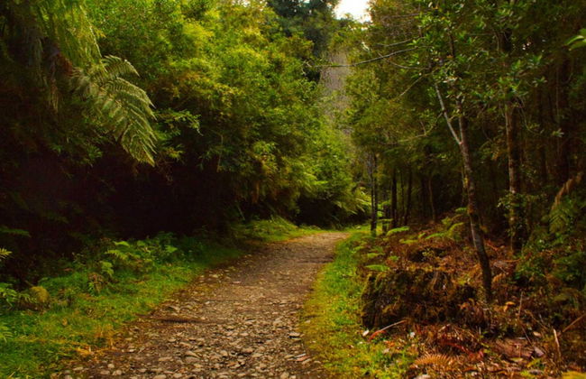 Senderismo por el Parque Nacional Alerce Andino - Foto 6