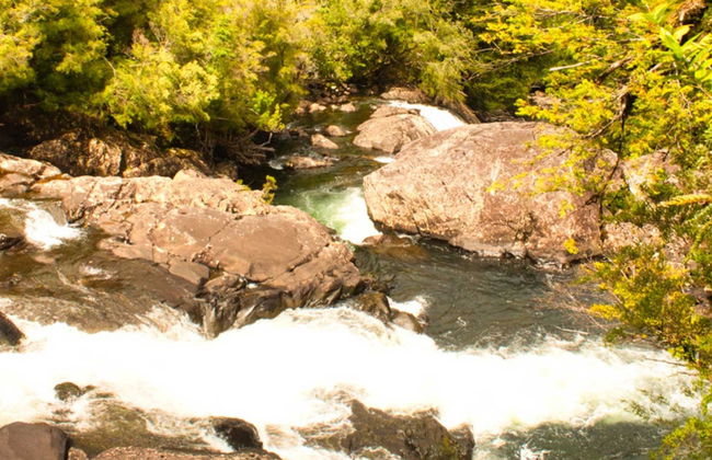 Senderismo por el Parque Nacional Alerce Andino - Foto 2