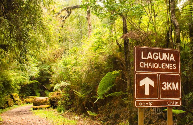 Senderismo por el Parque Nacional Alerce Andino - Foto 4