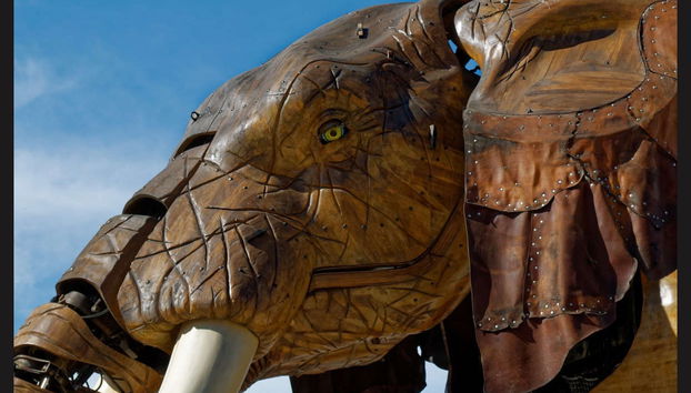 Nantes Private Walking Tour - Photo 3