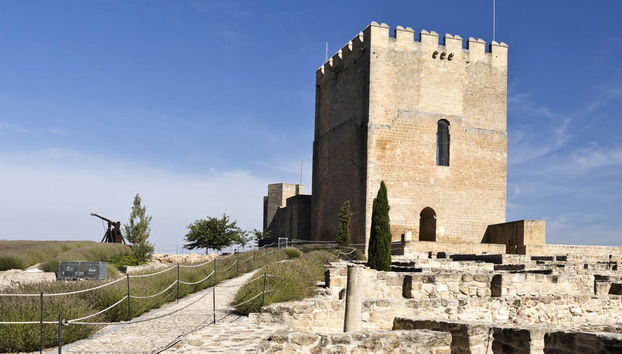 Fortaleza de la Mota Ticket - Foto 4