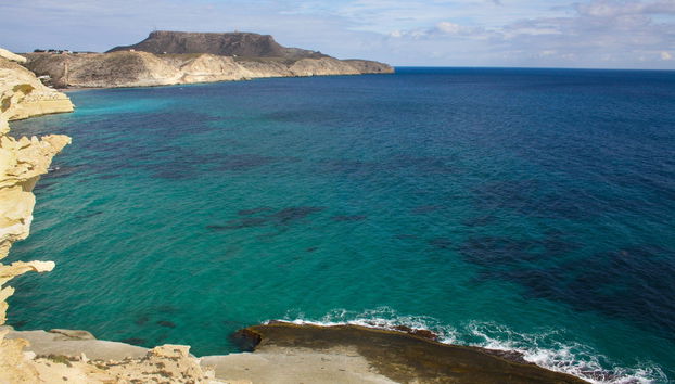 Cape Cat Boat Tour - Foto 2