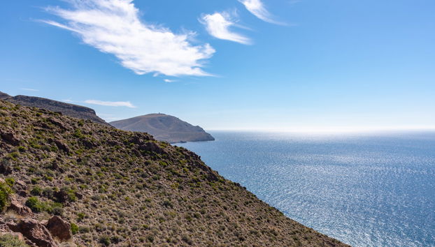 Cape Cat Boat Tour - Foto 5