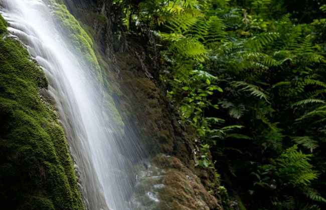 Excursión a los Charcos de Damajagua - Foto 6