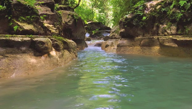 Los Charcos de Damajagua Day Trip - Foto 5