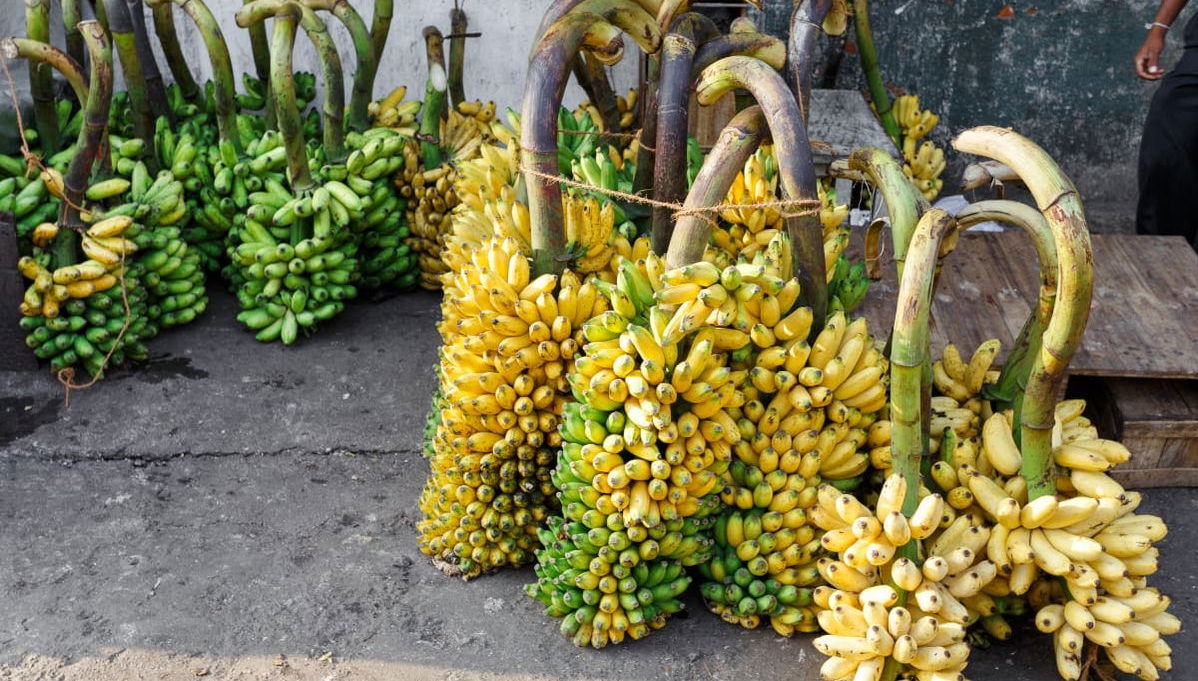 Private Tour of Nadi and Sabeto Mud bath - Foto 1