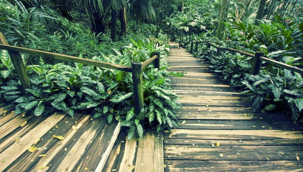 Private Tour of Nadi and Sabeto Mud bath - Foto 2