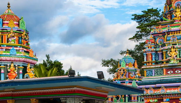 Private Tour of Nadi and Sabeto Mud bath - Foto 4