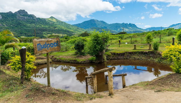 Private Tour of Nadi and Sabeto Mud bath - Foto 3