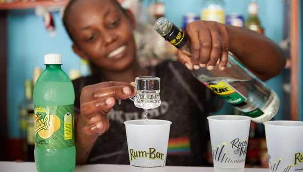 Tour al Museo Bob Marley y visita a una destilería de ron - Foto 3