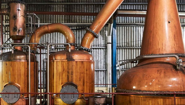 Tour al Museo Bob Marley y visita a una destilería de ron - Foto 5