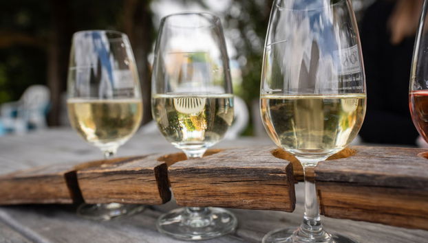 Tour del vino a Martinborough - Foto 3