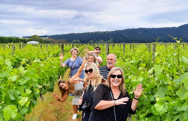 Route des vins à Martinborough - Photo 7