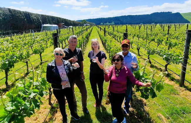 Route des vins à Martinborough - Photo 6