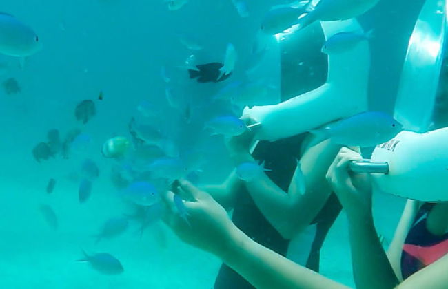 Boracay Seawalker - Photo 8