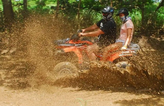 Balade en quad dans les champs de canne à sucre - Photo 8
