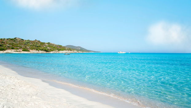 Giussani & Saleccia Beach Day Trip - Foto 4