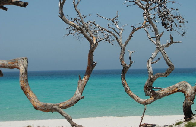 Giussani & Saleccia Beach Day Trip - Photo 2