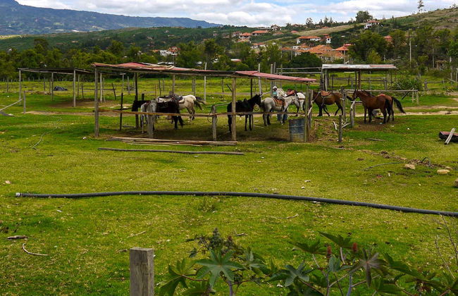 Balade à cheval aux Pozos Azules - Photo 2