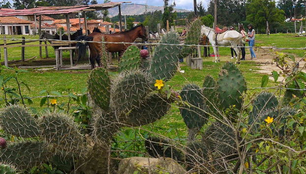 Balade à cheval aux Pozos Azules - Photo 5