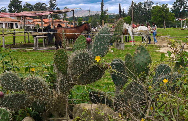 Balade à cheval aux Pozos Azules - Photo 5