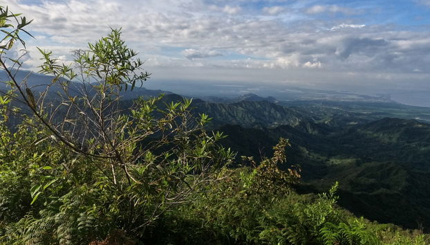 Tour do maracujá pela Sierra Nevada de Santa Marta - Foto 3