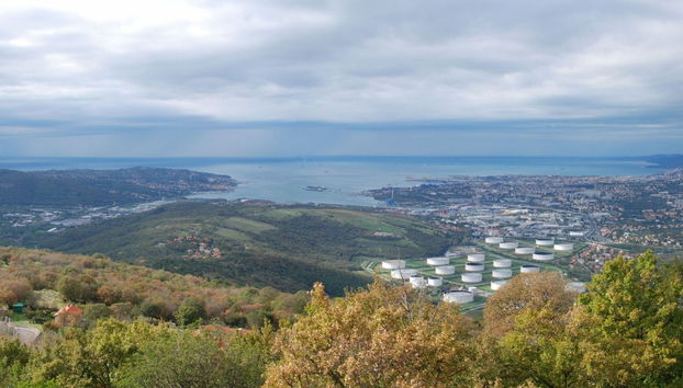 Socerb, Hrastovlje & Marezige Day Trip - Foto 3