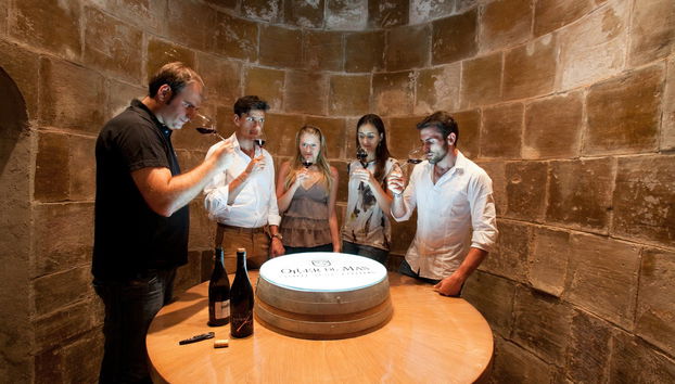 Visita a la bodega Oller del Mas - Foto 3