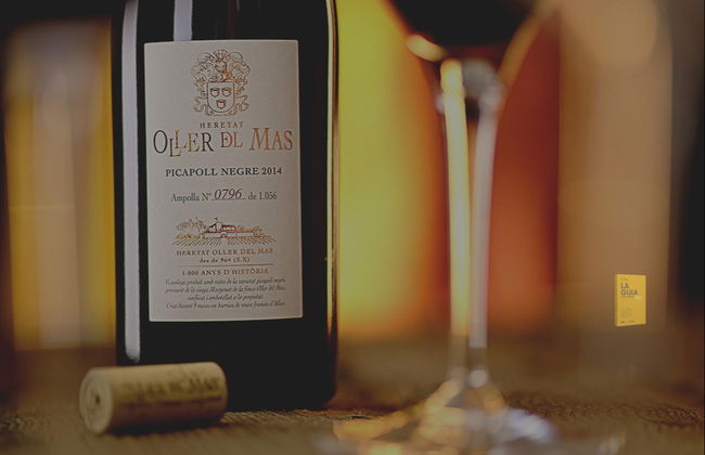 Visita a la bodega Oller del Mas - Foto 6