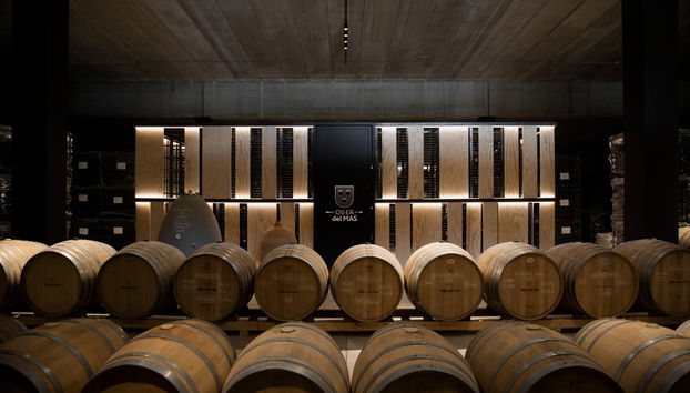 Visita a la bodega Oller del Mas - Foto 2