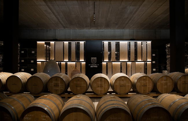 Visita a la bodega Oller del Mas - Foto 2