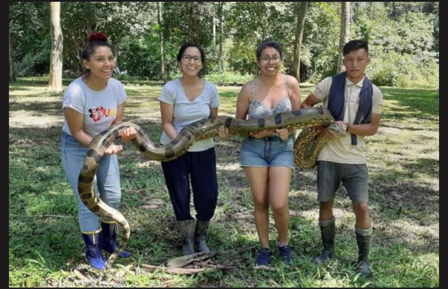Tour de 3 dias pelo norte da Amazônia peruana - Foto 5