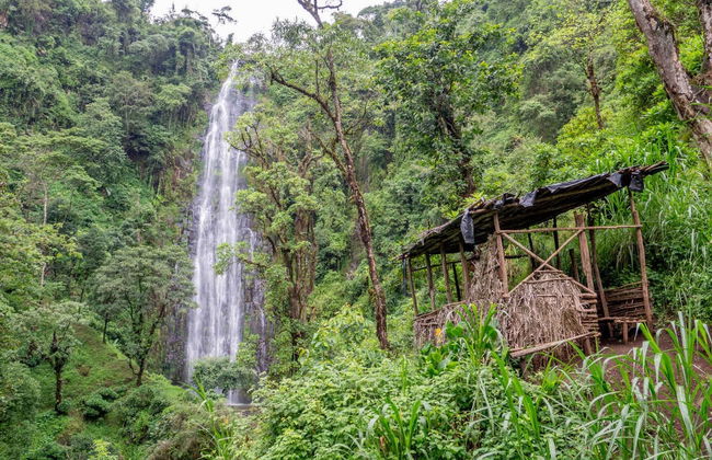 Materuni Waterfalls Tour - Photo 3