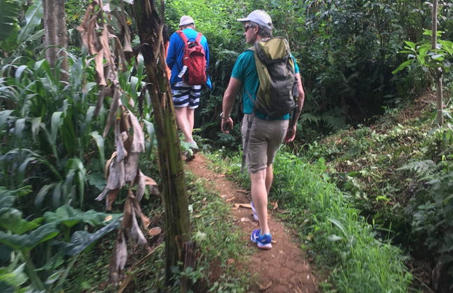 Materuni Waterfalls Tour - Photo 4