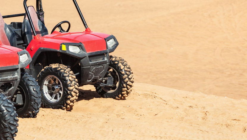 Desert Buggy Tour - Photo 3