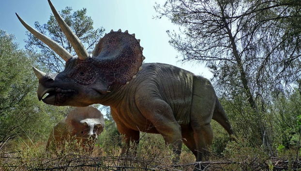 Combo: Dreams Park Show Full Experience - Foto 2