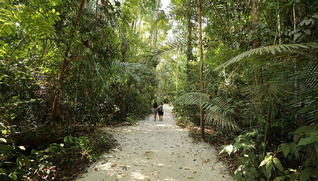 Museu da Amazônia Tour - Foto 2