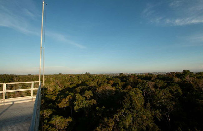 Museu da Amazônia Tour - Foto 1