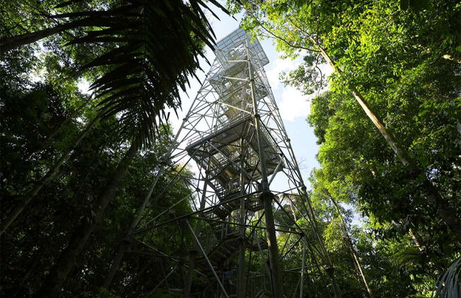 Tour por el Museo de la Amazonia - Foto 2