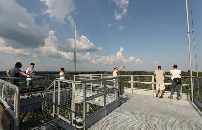 Tour por el Museo de la Amazonia - Foto 4