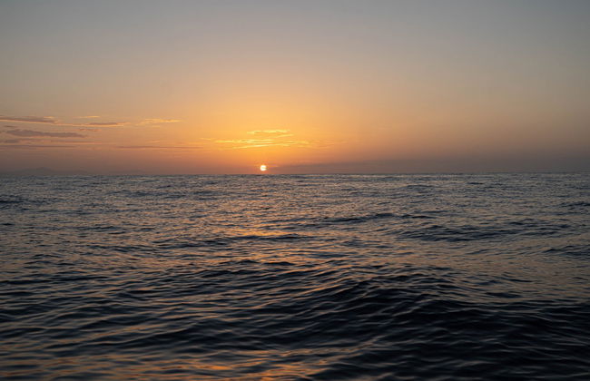 Santa Cruz Bay Cruise at Sunrise - Foto 4