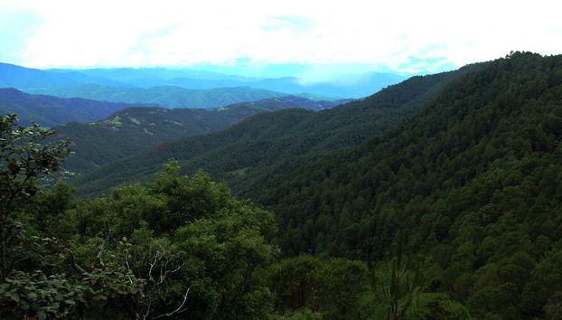 Hiking in the Sierra Norte in Oaxaca - Foto 5