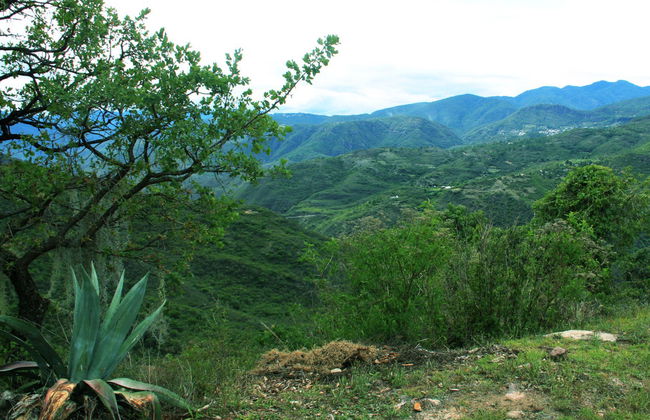 Hiking in the Sierra Norte in Oaxaca - Photo 1