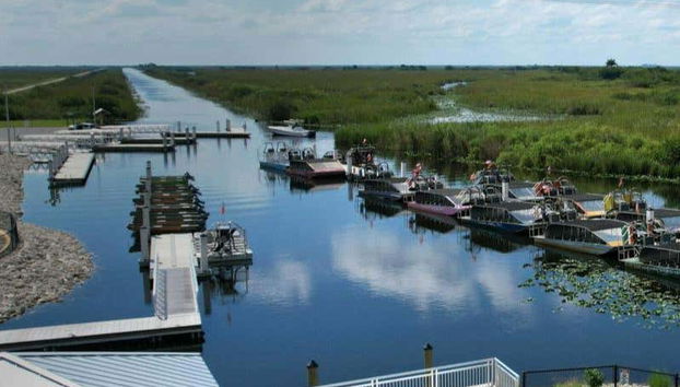 Excursión a los Everglades + Paseo en barco por Las Casas de los Famosos - Foto 5