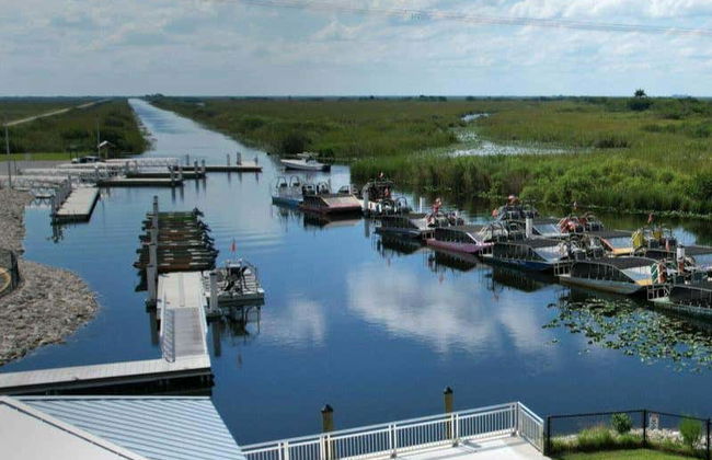 Everglades + Boat & Celebrity Houses Tour - Foto 6