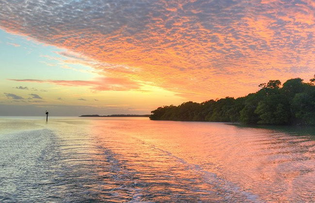 Excursión a los Everglades + Paseo en barco por Las Casas de los Famosos - Foto 5